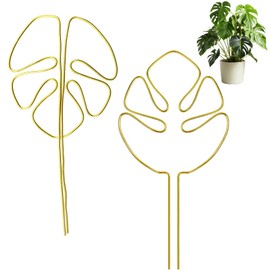 Plant Support Shrub Holder Plant Support Plant Support Plant Stem Supports for Alocasia and Monstera (Pack of 2)