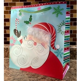 Pier 1 Imports Christmas 13" Gift Bag Applique Santa Iridescent Glitter Feather