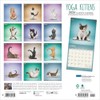 BrownTrout, Yoga Kittens Plato 2025 Wall Calendar