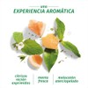 Herbal Essences Shampoo Seco Herbal Bío renew Grape Fruit &