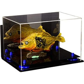 Better Display Cases Versatile Acrylic Display Case - Medium Rectangle Box with Mirror, Dark Blue Risers, Wall Mount and Black Base 12" x 8.25" x 8" (V41/A004)