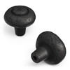 Hickory Hardware 1 Pack Solid Core Kitchen Cabinet Knobs, Luxury