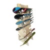 Pro Board Racks The Pro Skateboard Longboard Storage & Display