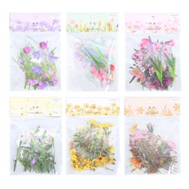 6 Pack Floral Stickers Set DIY Hand Crafted PET Transparent Floral Leaves Stickers for Scrapbooking Photo Album