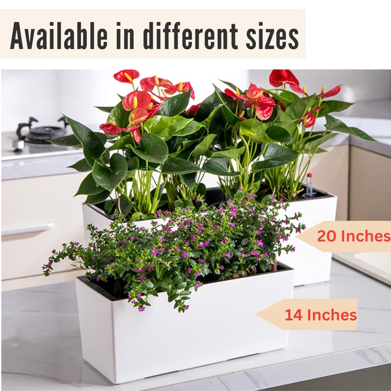 LaLaGreen Wall Planter for Outdoor (2 Pack, 14 Inch) Wall