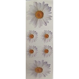 Daisy White Stickers - 6 Sheets