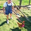 Adhafera Chicken Harness (Pink, L)
