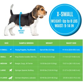 Bodhi Dog Disposable Male Dog Diapers - Super Absorbent, Leak-Proof Pee Wraps - Adjustable Fit, Comfortable Design, Advanced Moisture Control, and Wetness Indicator - Extra Small (20 Count)