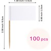 Blank Toothpick Flag Small Mini Labeling Marking DIY Stick Flags