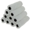 Coral 41871 Aspire 4 inch 10 Piece Pack Paint Mini