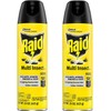 Raid Multi Insect Killer 15 Ounce (Pack of 2)