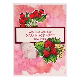 Spellbinders Lemon Stamp and Die Set, Multicoloured