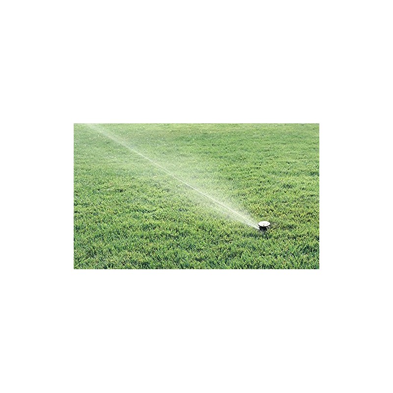 Rain Bird Maxi-Paw Sprinkler Full Rim and Variable Sector, Black