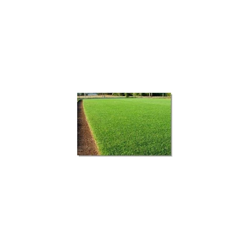 Lesco Double Eagle Perennial Ryegrass Seed Blend (1 Lb.)
