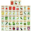 Set of 43 Assorted Vegetable & Herb Seed Packets -