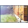 Zatural Honey Raw Fresh Air Idaho Grade A Light Amber