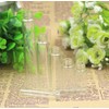 12PCS 2ml Mini Clear Glass Refillable Perfume Sample Tube Fine
