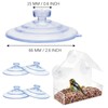 Replace The Suction Cups of The Bird Feeder, The Suction