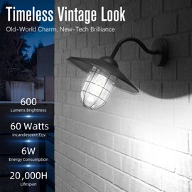 GvvooHome Dimmable LED Edison Bulb, E26 LED Bulb 60 watt Equivalent, Cool White 4000K, ST58 Vintage Light Bulbs, 90+ CRI, 6W 600LM, E26 Base, Clear Glass, 6 Pack