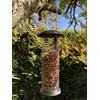 Oakdale Premium Metal Peanut Feeder