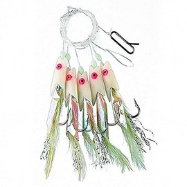 FLADEN Fishing - Single Packs of Classic Ready to Use Tied Boat Sea and Shore Feather Lure Rig (Lumi Max Hokki 5 Hook size 2) [17-1281-2]