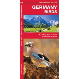 Germany Birds: A Folding Pocket Guide to Familiar Species (Nature Observation International)