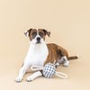 Fringe Studio "Pulling You in Painted Gingham 3D Canvas Dog