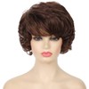 Kaneles Short Brown Curly Wavy Wig with Hair Bangs Synthetic