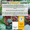 Son La Hills – Vietnamese Speciality Grade 70% Robusta 30%