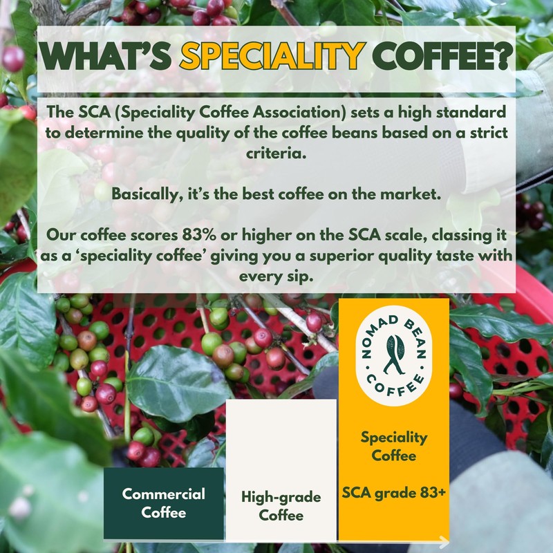 Son La Hills – Vietnamese Speciality Grade 70% Robusta 30%