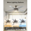 warmiplanet Ceiling Fan with Lights Remote Control, 52 Inch, Brushed