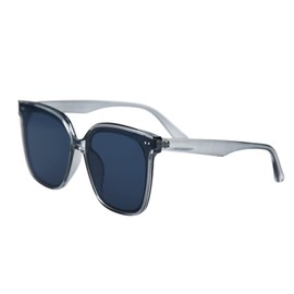 Shiratori Classic Round Sunglasses for Women Men Retro Vintage Shades Large Plastic Frame Sunnies Transparent Gray