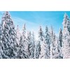 Xiaoterna 10x8ft Winter Snow Scene Backdrops Winter Landscape Forest Sky