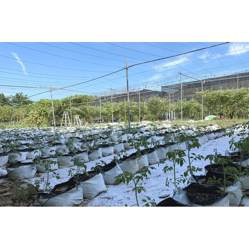 HORTIPOTS - Bolsas de cultivo de panda de 2 galones