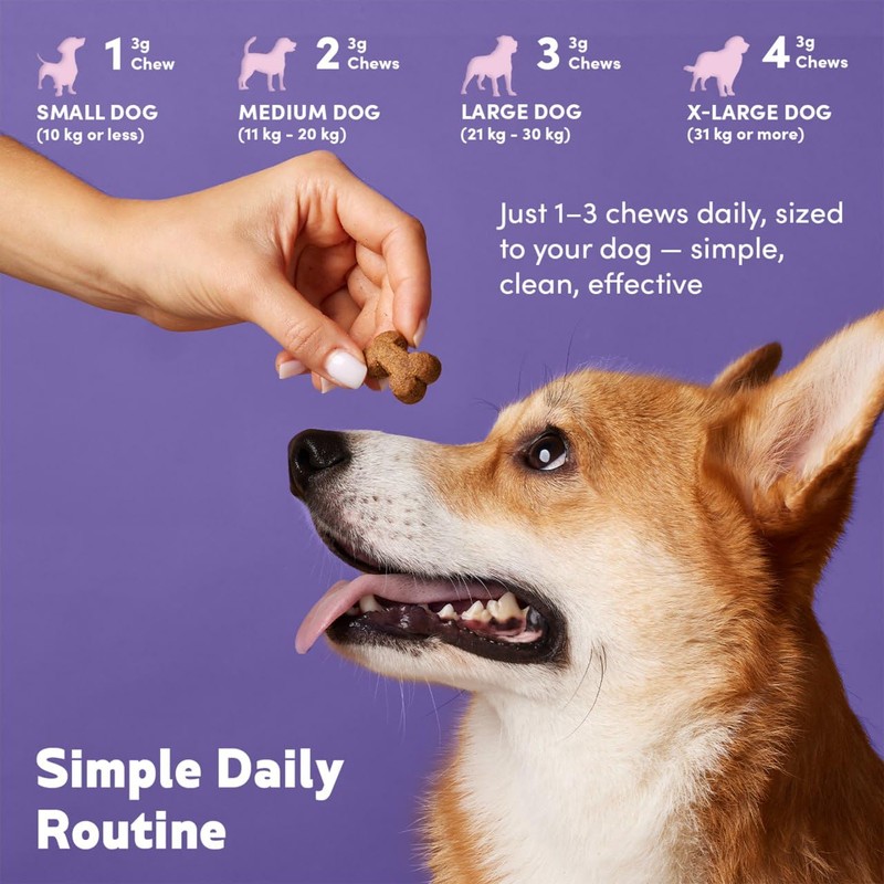 Hip and Joint Support Chews for Dogs - Glucosamine, MSM,