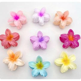 Blume Haar Kralle Clips, 12pcs Nonslip Blume Haarspange starken Halt Hawaii Kralle Clip, Frauen Mädchen Acryl Französisch Haar Griffe Haar-Styling-Accessoires für mittlere dicke lockiges gewelltes