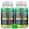 Sea Moss Gummies with Elderberry Black Seed Oil Ashwagandha Ginger