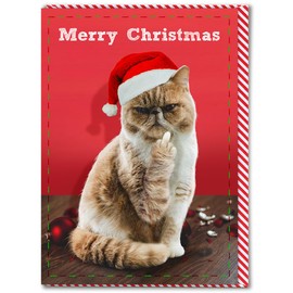 Brainbox Candy - Funny Christmas Card - 'Merry Christmas Cat Finger' - Cheeky Xmas Cards - For Friends, Family & Colleagues - Funny Cat Themed Christmas Card - 120mm x 170mm - Blank Inside