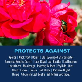 BioAdvanced All-In-One Rose and Flower Care Fertilizer, Concentrate, 32 oz