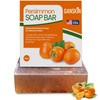Persimmon Soap Bar for Body Odor Control – Purifying Deodorizing