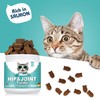 Bailey & Buddies Joint Care for Cats | Joint Supplement