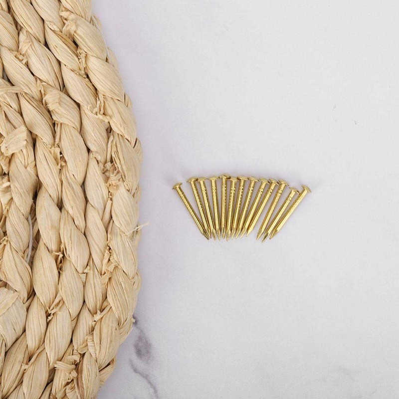 100Pcs Brass Tacks Nails Multi-Sizes Brass Nails Hardware Small Copper