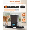HoneyGuaridan Automatic Cat Feeder for 2 Cats, Automatic Cat Food