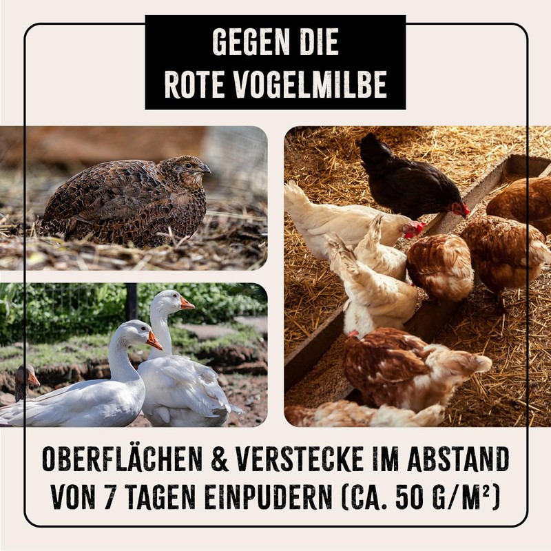 Aniforte® Mites in Practical Dust Bottle Stop Powder 1 Litre