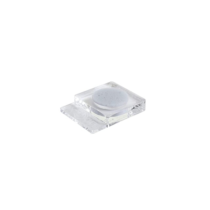 ANTCUBE Bowl Clear 1 x 20 – Sponge for Insects
