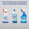 Lysol Bleach Free Hydrogen Peroxide Toilet Bowl Cleaner, Fresh, 24
