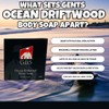 G.B.S 97% All Natural Shave Soap Set for Men, Ocean