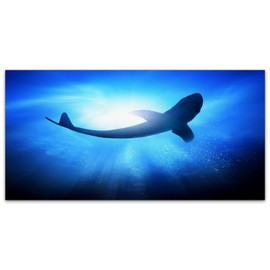 mchuang Shark Sea Waves Flexible Fluorescent Light Cover Films Skylight Ceiling for School Classroom Office English Pub Pool