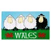 Welsh Tea Towel Wales Black White Sheep Red Dragon Souvenir Novelty