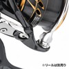 Gomexus Line Roller 18 21 Cardia Titanium, Daiwa Spinning Reel,